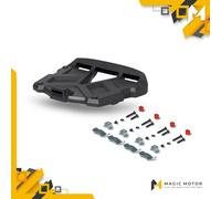 Placa de montaje SHAD grande con viti SH48 D1B591PA