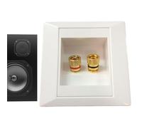 Placa de Pared con Conector Tipo Banana: Placa de Altavoz chapada en Oro, conexión de Dos enchufes, Ajuste Apretado y Duradero, Terminal 1 de Audio de Cine en casa Confi