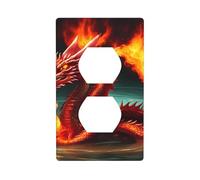 Placa de pared de 4.5 x 2.75 pulgadas, diseño de rey dragón WHJSHOP en fuego, material de policarbonato duradero, resistente al calor y a la decoloración, fácil de limpiar, tamaño estándar