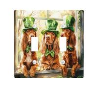 Placa de pared decorativa para interruptor de luz con diseño de perro setter irlandés del día de San Patricio, 2 bandas, doble palanca, ventana divertida para cachorros, placa frontal eléctrica con