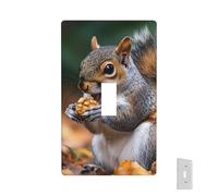 Placa de pared decorativa para toma de corriente, cubierta de interruptor de luz de ardilla que come nueces, 1 placa de interruptor de banda, placas frontales eléctricas, tamaño estándar, placa de