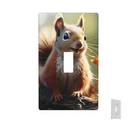 Placa de pared decorativa para toma de corriente, diseño de ardilla, divertido animal, 1 placa de interruptor de banda, placas frontales eléctricas, tamaño estándar, placa de pared para cocina y
