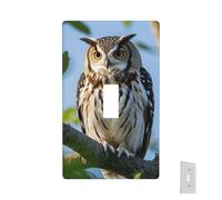 Placa de pared decorativa para toma de corriente, diseño de búho en una rama, 1 placa de interruptor de banda, placas frontales eléctricas, tamaño estándar, placa de pared para cocina y dormitorio