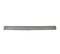 Placa De Umbral Izquierda / Derecha Para: FIAT BRAVA, BRAVO I 10.95-12.02
