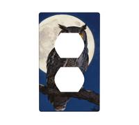 Placa decorativa de policarbonato irrompible con diseño de búho, luna, noche, para oficina en casa, 1 banda con tornillos