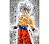 Placa Decorativa Goku Ultra Instinto Dragon Ball Super Metálica Cuadro Póster HD