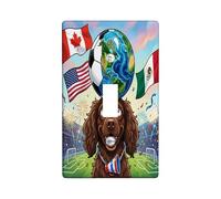 Placa decorativa para interruptor de luz con diseño de perro Boykin Spaniel de fútbol 2026, 1 banda, interruptor único, día del partido, celebra el cachorro, placa frontal eléctrica con patrón
