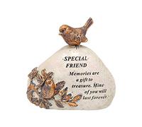 Placa decorativa para tumba conmemorativa de Robin Bird con un versículo especial simpático | Una piedra personalizada/cartel para tus seres especiales (amigo)