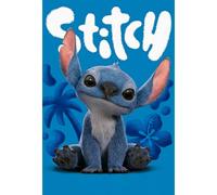 Placa Decorativa Stitch Lilo & Stitch Disney Metálica Cuadro Póster HD