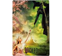 Placa Decorativa Wicked Elphaba Y Glinda Disney Metálica Cuadro Póster HD