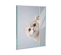Placa protectora de vitrocerámica de cristal templado, tabla de cortar y placa de vitrocerámica, 1 pieza, 45 x 52 cm, higiénica y antideslizante, protección para inducción, vitrocerámica, gato curioso