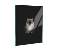 Placa protectora de vitrocerámica de vidrio templado y cubierta de vitrocerámica, 1 pieza, 45 x 52 cm, higiénica y antideslizante, protección para inducción, vitrocerámica