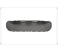 Placa Trasero Sin Agujeros Moldura Adecuado a Mini Compatriota R60 2010- >
