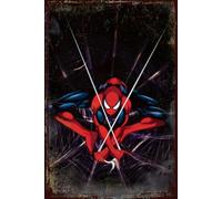 Placas Decorativas de Superhéroes, Láminas Artísticas de Superman, Iron Man y Spider-Man, Metal, 20x30 cm, para Decoración de Paredes Interiores (Spiderman 2)