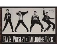 Placas Decorativas Vintage de Rock, Bandas Legendarias, 20x30 cm, para Decoración de Interiores (Elvis Presley Jailbreak)