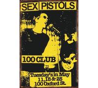 Placas Decorativas Vintage de Rock, Bandas Legendarias, 20x30 cm, para Decoración de Interiores (Sex Pistols)