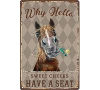 Placas Metálicas Caballo De Mejillas Dulces Hola Caballo Descarado Vendimia Letrero De Metal No Es Fácil De Deformar Cartel De Metal para Garaje Hotel Baño 20X30Cm