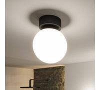 Paulmann 71071 Plafón LED Selection Bathroom Gove IP44 3000K 400lm 230V 5W, negro mate, satinado luminaria de baño