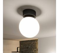Paulmann 71072 Plafón LED Selection Bathroom Gove IP44 3000K 900lm 230V 9W, negro mate, satinado luminaria de baño