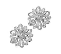 PLAFOPE Hebillas de Zapato Desmontables Cristales de Imitación en Forma de Gota de Agua, 2 Unidades, Clip Decorativo Elegante para Zapatos de Fiesta y Banquetes para Mujer