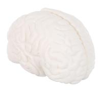 PLAFOPE Modelo De Aula De Anatomía Modelo De Aula Médica Herramienta De Aprendizaje