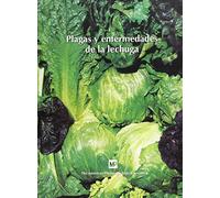 Plagas Y Enfermedades De La Lechuga