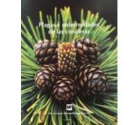 Plagas Y Enfermedades De Las Coniferas
