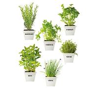 PLAGE 150415 Electrostatic Pegatina Aromatic Plants, plástico, Colorful, 29,7 x 0,1 x 21 cm