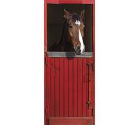 Plage Caballo Puerta Trampantojo para Puerta, Vinilo, Multicolor, 83x204 cm