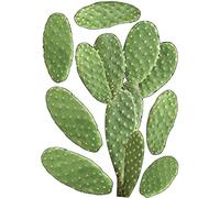 Plage Decoración Mural Adhesiva con Diseño Cactus, Vinilo, Verde, 48x68 cm
