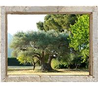 Plage Falsa Ventana Adhesiva, Tela, Multicolor, 75x3x60 cm