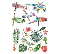 Plage Nature Pegatina electrostática Naturaleza Tropical, Multicolor, 21x29,7cm