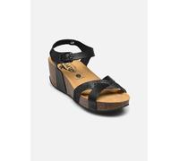 Plakton So Final 40 Negro