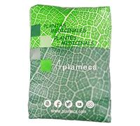 Plameca Anis Verde Semillas 1 Kg 300 g
