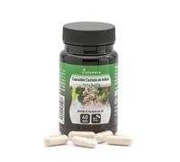 PLAMECA - Capsudiet Castaño de Indias, para la Salud Cardiovascular, Ayuda a Mejorar la Circulación Sanguínea, Alta Calidad, Bienestar Vascular - 40 Cápsulas Vegetales