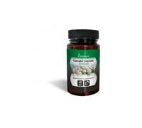 Plameca Capsudiet Valeriana 40 caps vegs