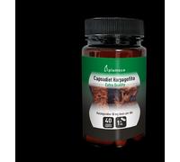 Plameca Curarti Capsudiet Harpagofito 40 cápsulas