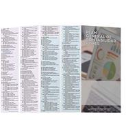 Plan General Contable PYMES