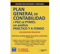 Plan General de Contabilidad y PGC de Pymes 2022: Un análisis práctico y a fondo
