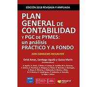 Plan General de Contabilidad y PGC de Pymes: Un análisis práctico y a fondo (SIN COLECCION)