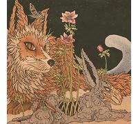 Planes Mistaken For Stars - Prey [Casete]