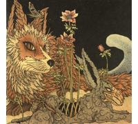 Planes Mistaken For Stars Prey (Vinyl) 12" Album (Importación USA)