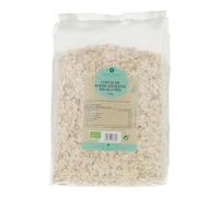 PLANETA HUERTO | Copos de Avena Ecológicos 1,5kg, 100% Naturales, Fuente de Fibra, Omega 3, Vitaminas y Minerales - Copos de Avena Apto para Veganos, Sin Azúcares Añadidos, Ideal para Desayunos