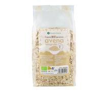PLANETA HUERTO | Copos de Avena Ecológicos 500gr, 100% Naturales, Fuente de Fibra, Omega 3, Vitaminas y Minerales - Copos de Avena Apto para Veganos, Sin Azúcares Añadidos, Ideal para Desayunos