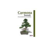 Planeta HUERTO | Guía Completa para el Bonsái Carmona - La Planta de Las Bayas Naranjas