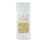 PLANETA HUERTO | Harina Integral de Avena Sin Gluten Ecológica 800 g - Harina natural rica en fibra y nutrientes, Ideal para repostería, panes, papillas y recetas saludables sin gluten