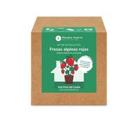 Planeta HUERTO | Kit de Autocultivo Fresas Alpinas Rojas Planeta Huerto - Cultiva en Casa con Facilidad y Sabor Natural