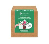 Planeta HUERTO | Kit de Autocultivo Planta Sensible Planeta Huerto