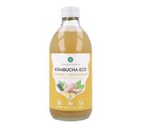 PLANETA HUERTO | Kombucha ECO de Jengibre y Lemongrass 330 ml - Bebida Probiótica Baja en Azúcar, Naturalmente Fermentada y Refrescante