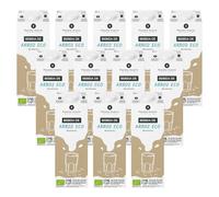 PLANETA HUERTO | Pack 12x Bebida de Arroz Ecológica 1L, 100% Vegetal, Sin Lactosa, Baja en Grasas, Fuente de Energía Natural - Bebida de Arroz Apta para Veganos y Dietas Saludables